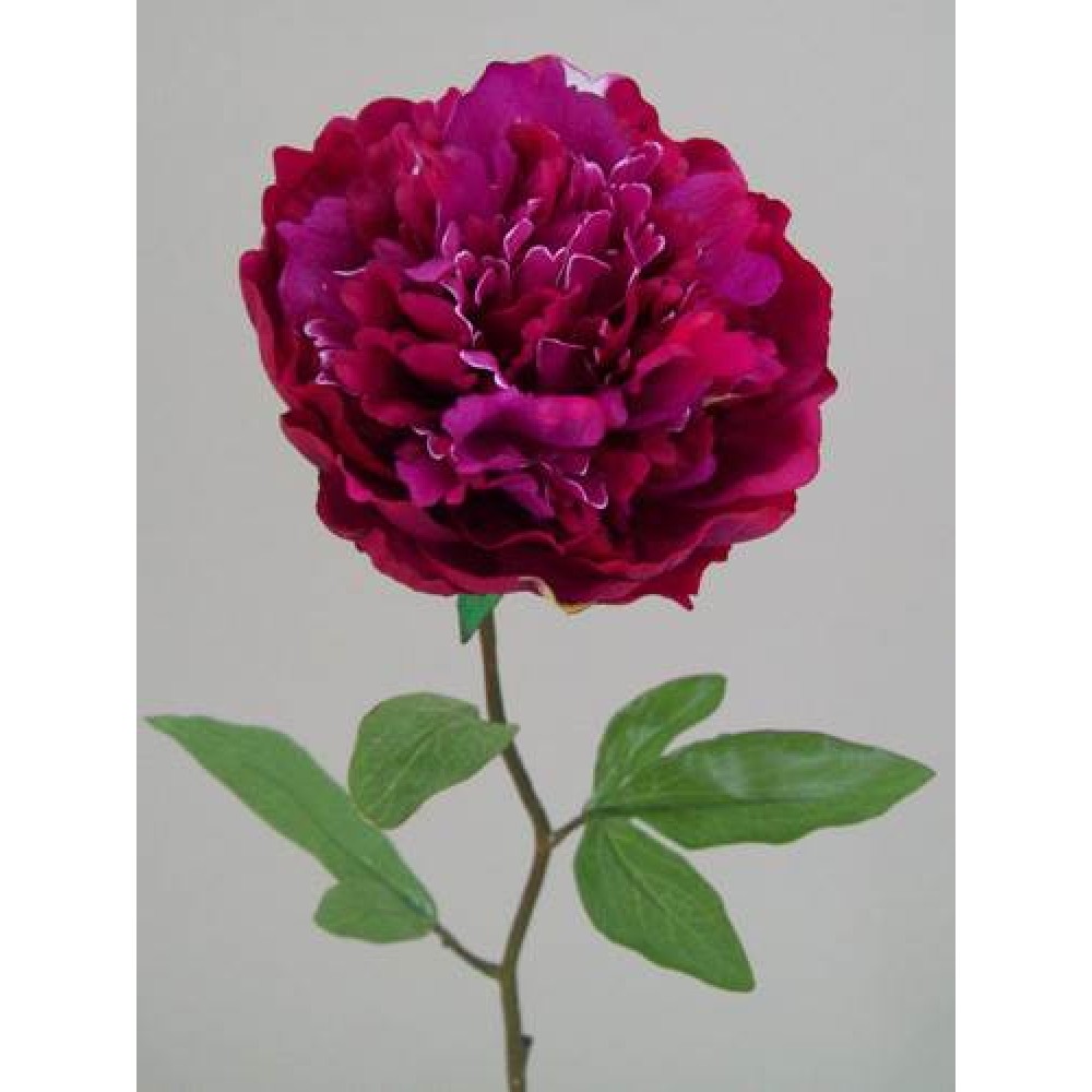 Real Touch Peony Magenta 70cm Artificial Flowers